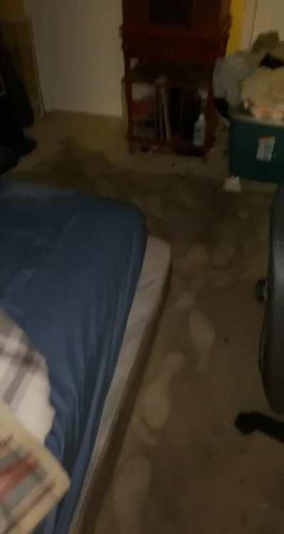 “Well that’s uh..”