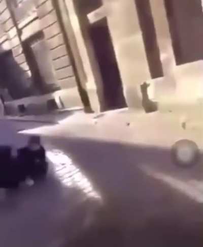 Boy picks a fight with a girl then gets his ass beat and stomped