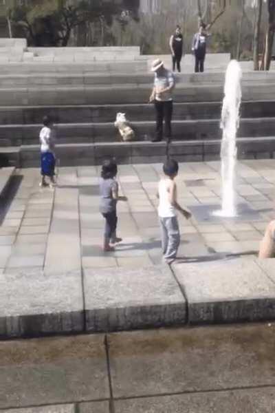 I've seen a lot of children fall over. This one made me laugh the hardest.