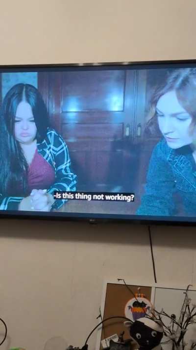 My cat watching The House on Eden with me 😁❤️