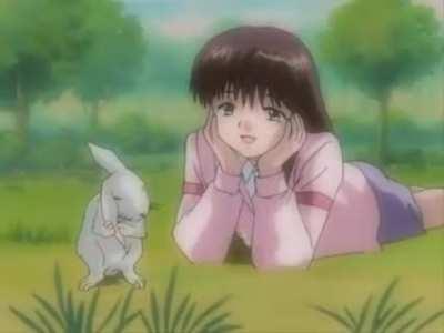 Not because you're a rabbit