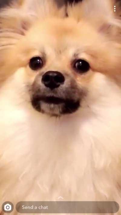 The suspense is killing me