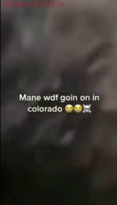 Nah bra😂 What's happening up in Colorado 😭