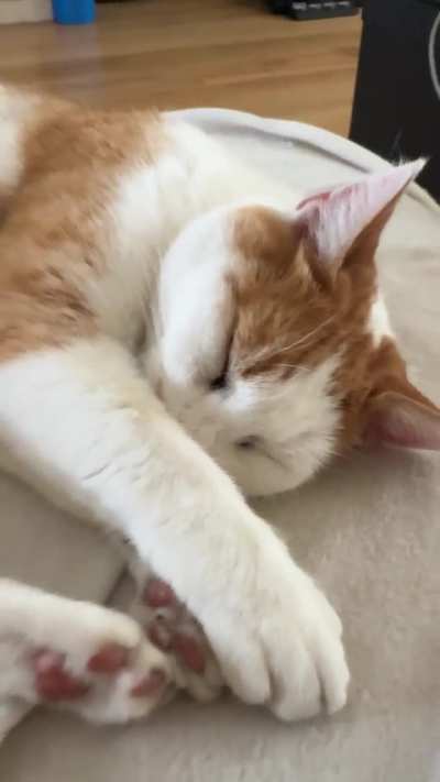 Sounds like the distribution belt needs to get replaced soon..