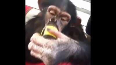 os pinguços no suposto churrasco invisivel vão estar como