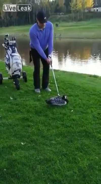 Killing a duck with a golf club