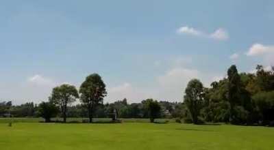 I can’t decide which would be scarier: being the person inside or outside