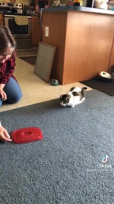 Beware of the evil Tupperware