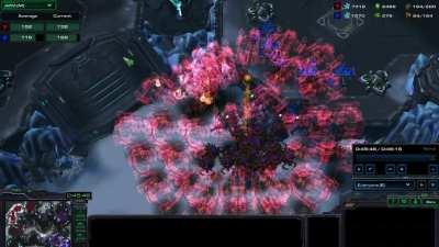 The Terrans are retreating!