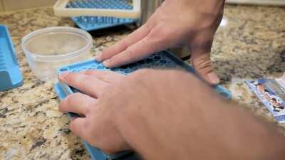 Microdosing changed my life. Here's how I make my capsules in 3 minutes: