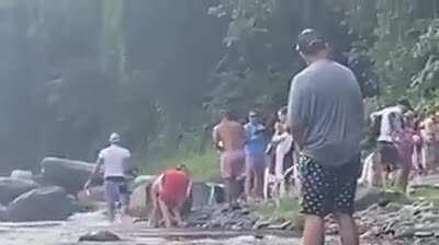 The beauty of nature.