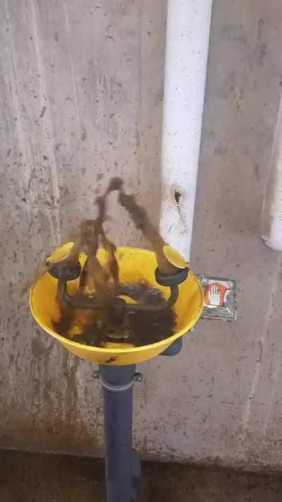 Do you think this eyewash at work is safe to use?😄