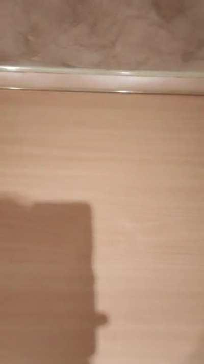 My roommate isn't home... Just felt like it: