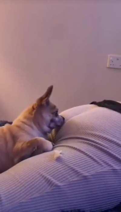 what could go wrong sleeping right next to a butt.