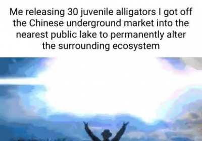 Can't wait for asdfmovie 8