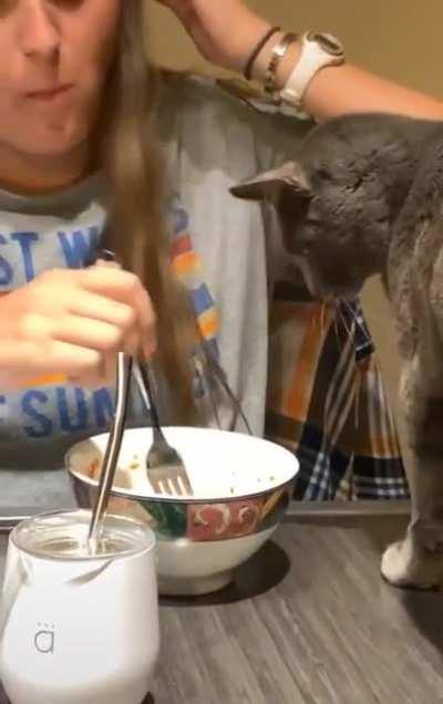 Your dinner needs more seasoning