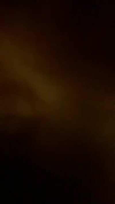 WCGW climbing on top of the refrigerator?