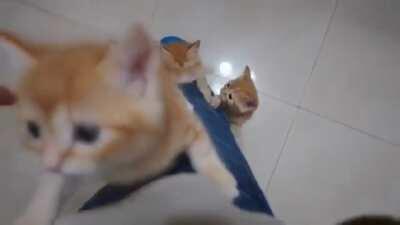 tiny terrorists team up to tackle the thigh