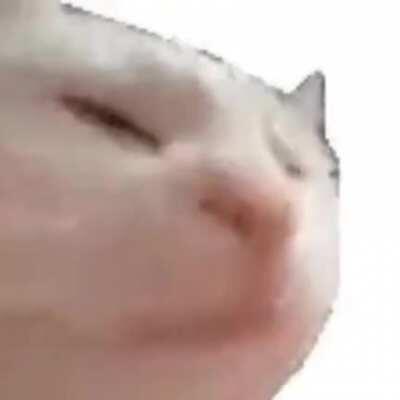 Stepping into Rattay like