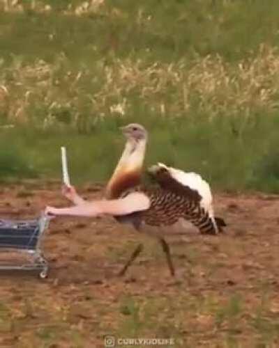 How people think of CRISPR