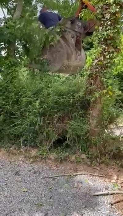 A leading firearms safety expert appointed by a Fianna Fáil minister without an interview. The expert also happens to live in the same constituency as the minister.