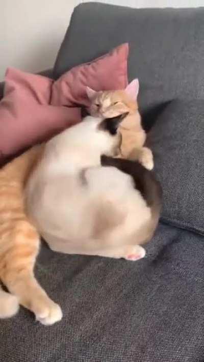 We love being together