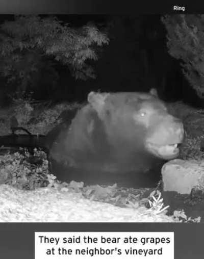 When a bear has bath midnight bathy