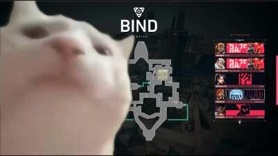 Me whenever the game is loading