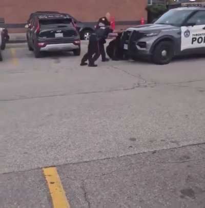 Average cop makes small mistake