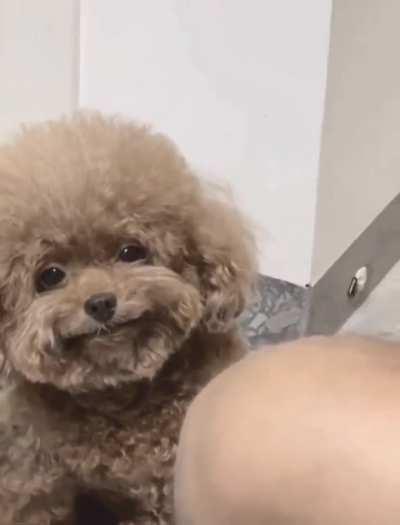 Let me know the first thing that comes to your mind when you watch this video