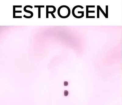 Estrogen