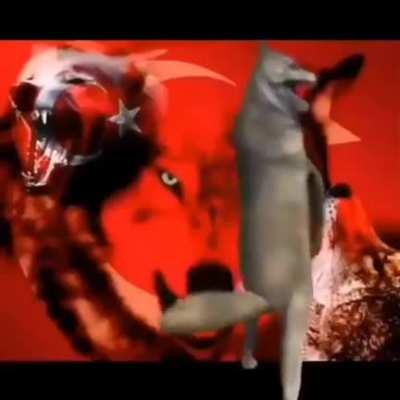 AUUUUUUUUUUUUUUUUU :DDD