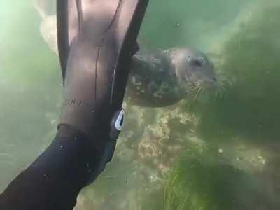 Always have your gear checked by a pro