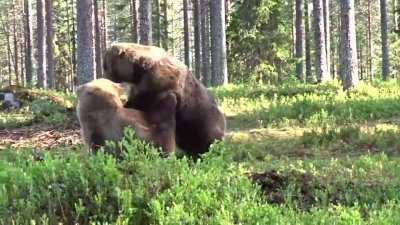 Wrestling champ 4x all american 🏆
