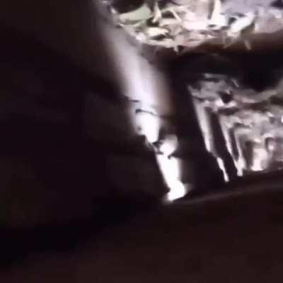 WCGW filming what's in a hole