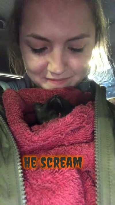 My baby Boo letting out the scream that won me over