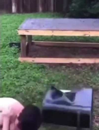 Jumping on a solid object, solid idea.