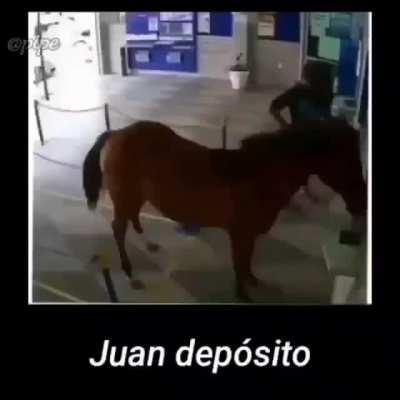 What da horse doin?