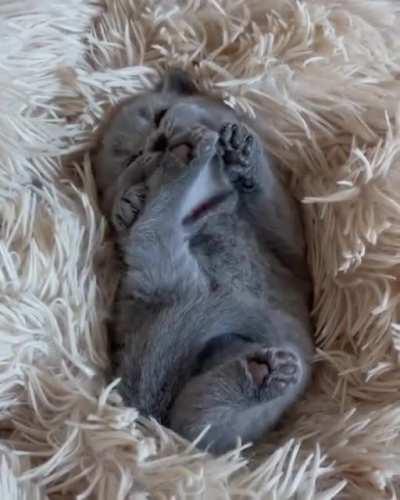 the most tender thing you will see today, happy Sunday !!!!