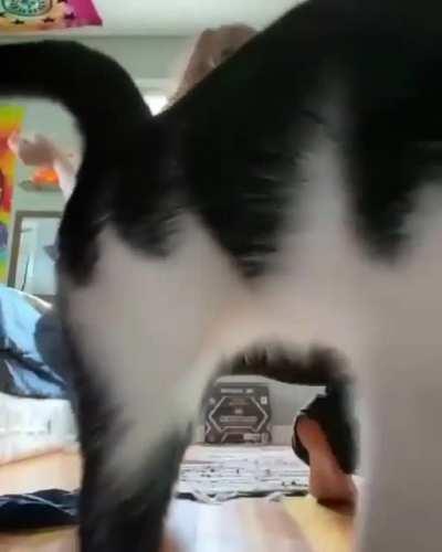 😳😳😳😳 damnnn i am so horny i want to get penile fracture