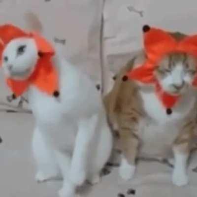 The one on the right