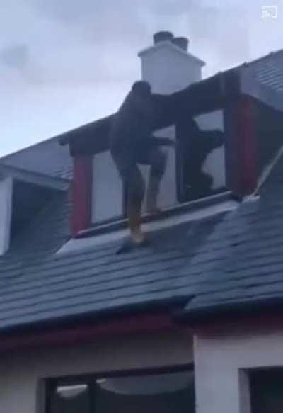WCGW jumping off a roof