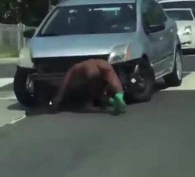 Man on PCP ripping front bumper off car