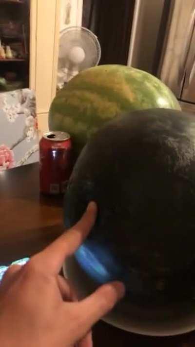 Squishy watermelon