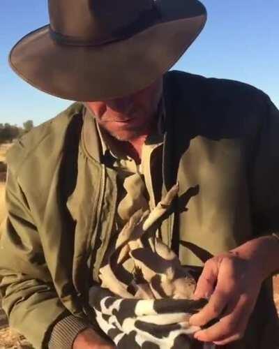 A little Aussie bleach.