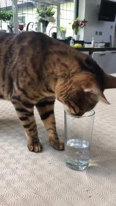 I can FEEL the water so why can’t I DRINK it?!