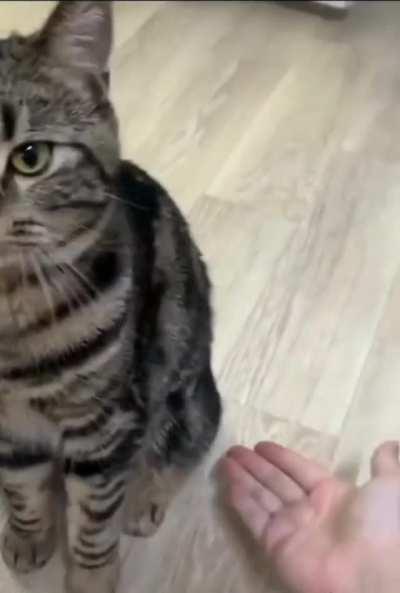 Only certain people know this secret handshake…