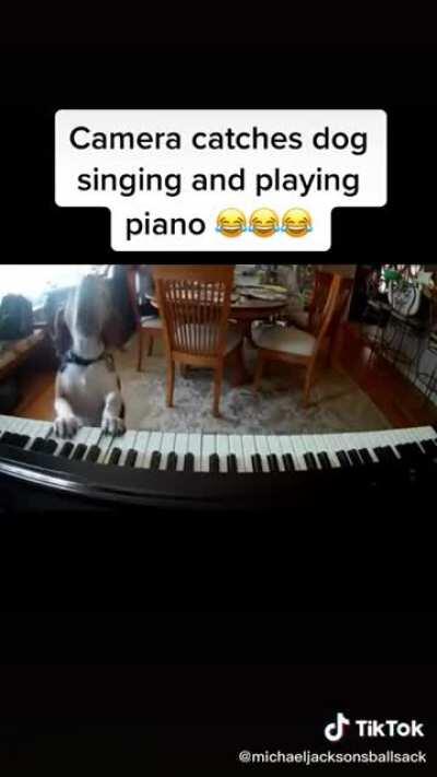 You ain't nothin' but a hound dog...