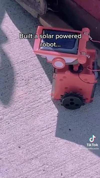 Robot commits suicide