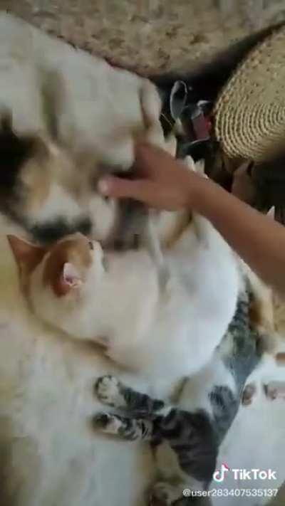 This woman is a real GEM